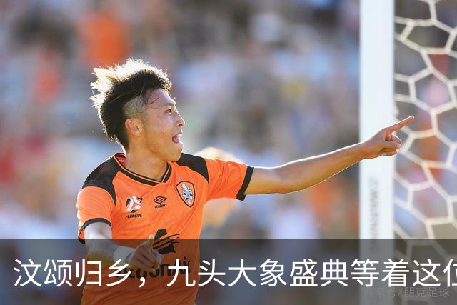 汶颂归乡，九头大象盛典等着这位短跑英雄